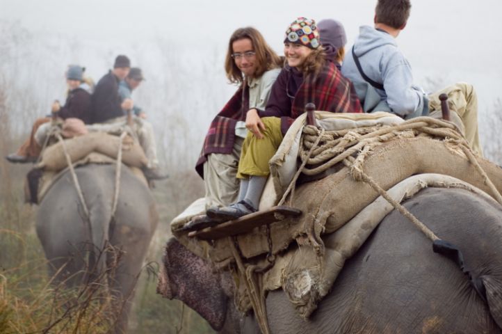 Elephant Safari 1